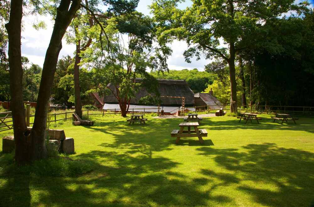 The Grounds